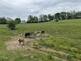 6252 Energy Road - Photo 25