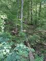 0000 Upper Racoon Creek Road - Photo 14