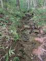0000 Upper Racoon Creek Road - Photo 15