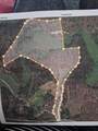 0000 Upper Racoon Creek Road - Photo 2