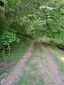 0000 Upper Racoon Creek Road - Photo 8