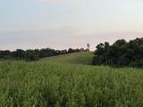 2294 Mudlick Rd Road - Photo 37