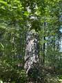 0000 Beech Grove Road - Photo 22