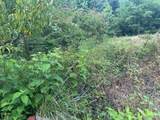 105 Flat Creek Road - Photo 23