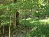 1642 Sulphur  Springs Hollow Road - Photo 10