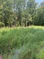 1000 Hidden Acres - Photo 4