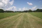 6 Lot #6 State Hwy. 290 South - Photo 14