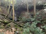 9999 Cabin Creek Road Drive - Photo 20
