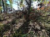 18A Hall Road - Photo 38