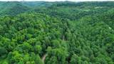 3800A Butcher Hollow Rd - Photo 42