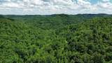 3800A Butcher Hollow Rd - Photo 44