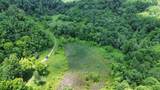 3800A Butcher Hollow Rd - Photo 45