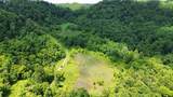 3800A Butcher Hollow Rd - Photo 47