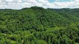 3800A Butcher Hollow Rd - Photo 48