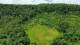 3800A Butcher Hollow Rd - Photo 49
