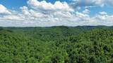 3800A Butcher Hollow Rd - Photo 51