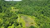 3800A Butcher Hollow Rd - Photo 52
