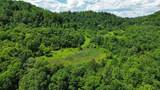3800A Butcher Hollow Rd - Photo 53