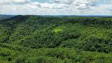 3800A Butcher Hollow Rd - Photo 55