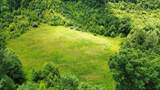 3800A Butcher Hollow Rd - Photo 56