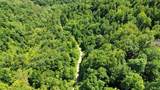 3800A Butcher Hollow Rd - Photo 57
