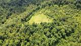 3800A Butcher Hollow Rd - Photo 58