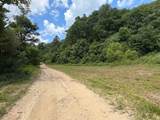 3800A Butcher Hollow Rd - Photo 60