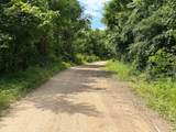 3800A Butcher Hollow Rd - Photo 61