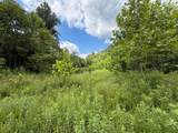 3800A Butcher Hollow Rd - Photo 64