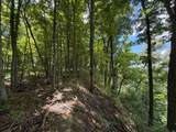 3800A Butcher Hollow Rd - Photo 65
