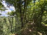 3800A Butcher Hollow Rd - Photo 66