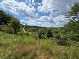 3800A Butcher Hollow Rd - Photo 68