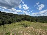 3800A Butcher Hollow Rd - Photo 71