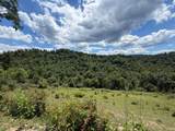 3800A Butcher Hollow Rd - Photo 74
