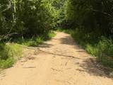 3800A Butcher Hollow Rd - Photo 75