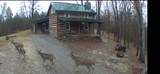 1248 Burke Road - Photo 3