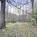 875 Mcneil-Corn Creek Road - Photo 73