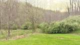 875 Mcneil-Corn Creek Road - Photo 75