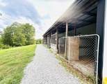 1232 Pleasant Grove Ridge Road - Photo 45