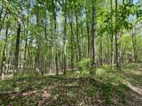 566A Tunnel Ridge Road - Photo 8