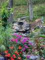 508 Mallard Point Drive - Photo 51