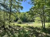 1170 Doe Creek Road - Photo 17