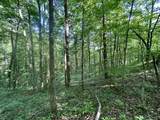 1170 Doe Creek Road - Photo 35