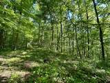 1170 Doe Creek Road - Photo 36