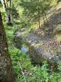 1170 Doe Creek Road - Photo 7