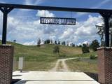 Tract 3 Pittsburg Landing Road - Photo 1