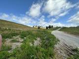 Tract 12 Pittsburg Landing Road - Photo 12