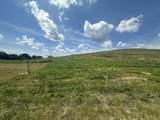 Tract 12 Pittsburg Landing Road - Photo 15