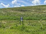 Tract 12 Pittsburg Landing Road - Photo 9