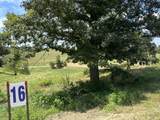 Tract 16 Pittsburg Landing Road - Photo 4